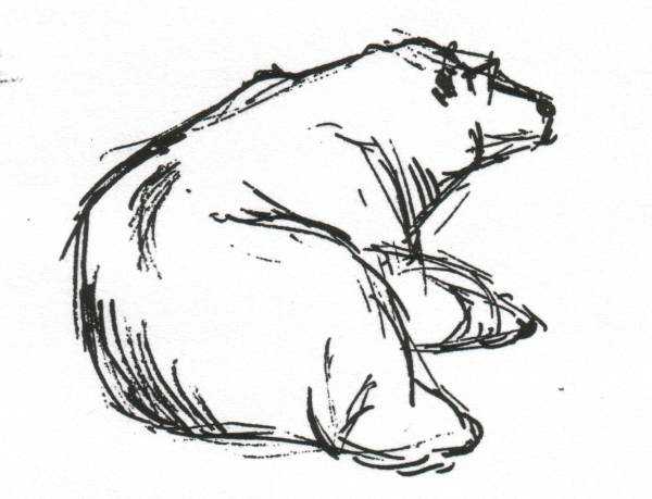 polar bear 2